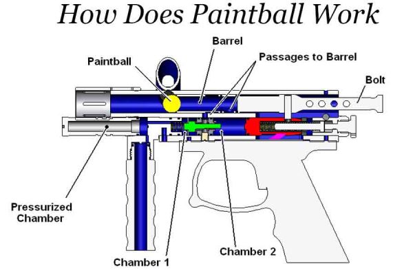 How does paintball work?